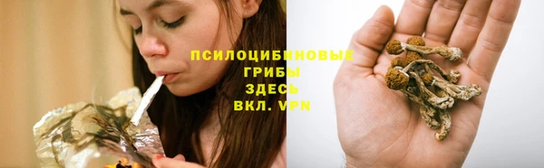 COCAINE Горнозаводск