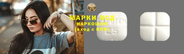 прущие крисы Волоколамск