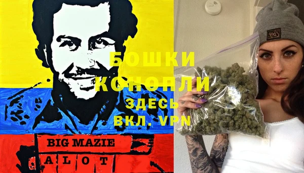 спиды Володарск