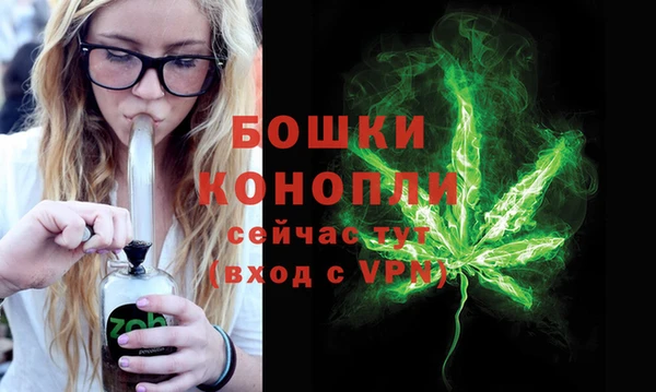 Альфа ПВП Горняк