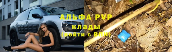 спиды Володарск