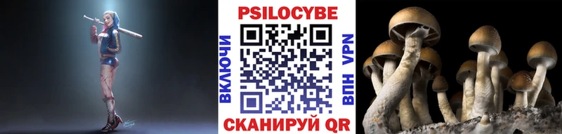 Купить  Томмот  Псилоцибиновые грибы ЛСД 