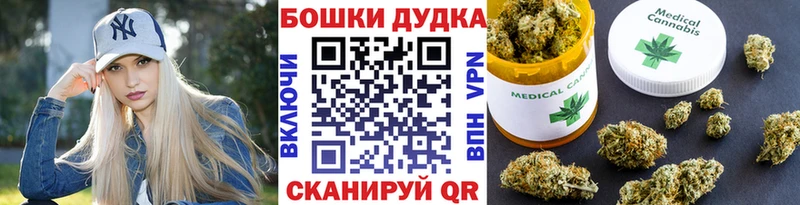 Купить где  Томмот  Бошки Шишки семена 